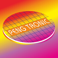 PENG TRONIC LOGO DESIGN